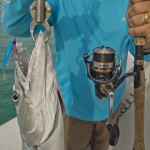 backcountry fishing for barracudas