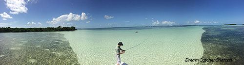 Flats Fishing Florida Keys