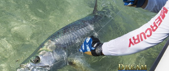 Florida Keys Tarpon Fishing