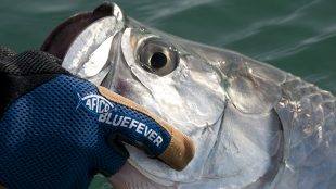 Tarpon, fishing, gloves, aftco, release