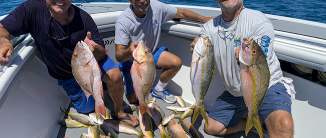 Nice Catch of yellowtail snapper and mutton snapper